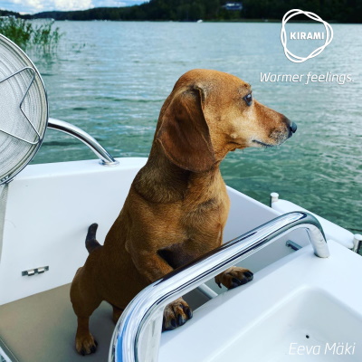 Hunden Onni, der das Wasser liebt | Kirami - Warmer feelings