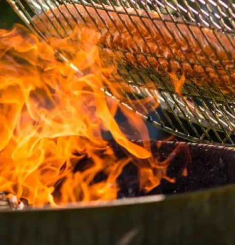 Roasty-Boss - der beständige vielseitige Grill | Kirami